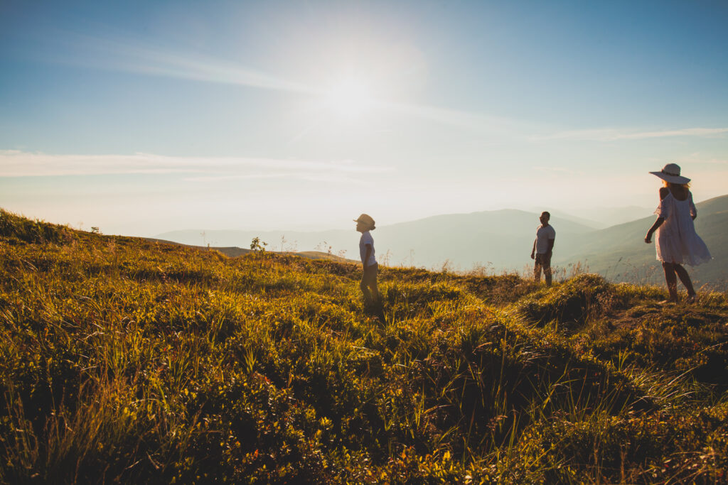 What to Ask Before Creating an Estate Plan in the Bay Area